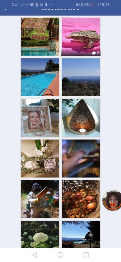 Villa Bensi Agrifarm La Corteゲストハウス エクステリア 写真